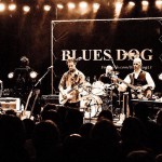 Blues Dog (NL)